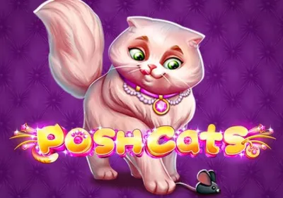Posh Cats